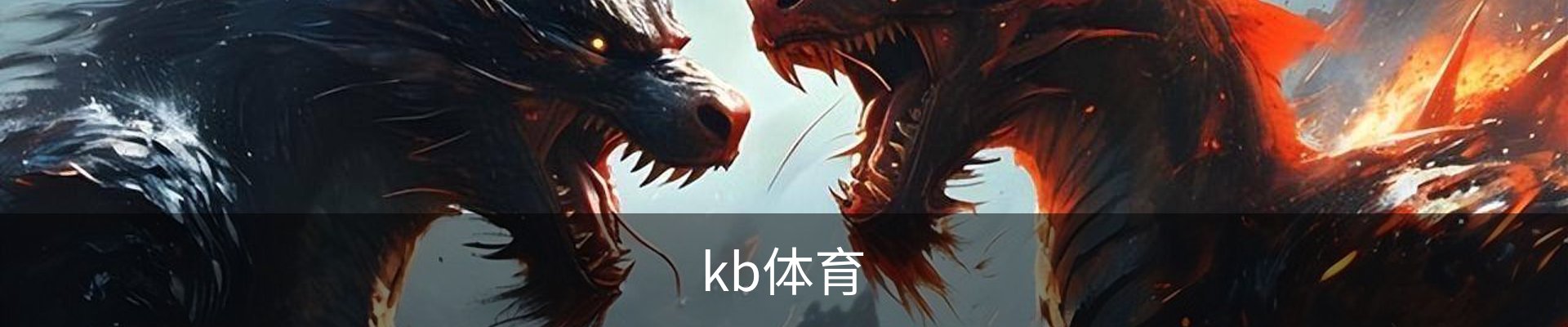 kb体育